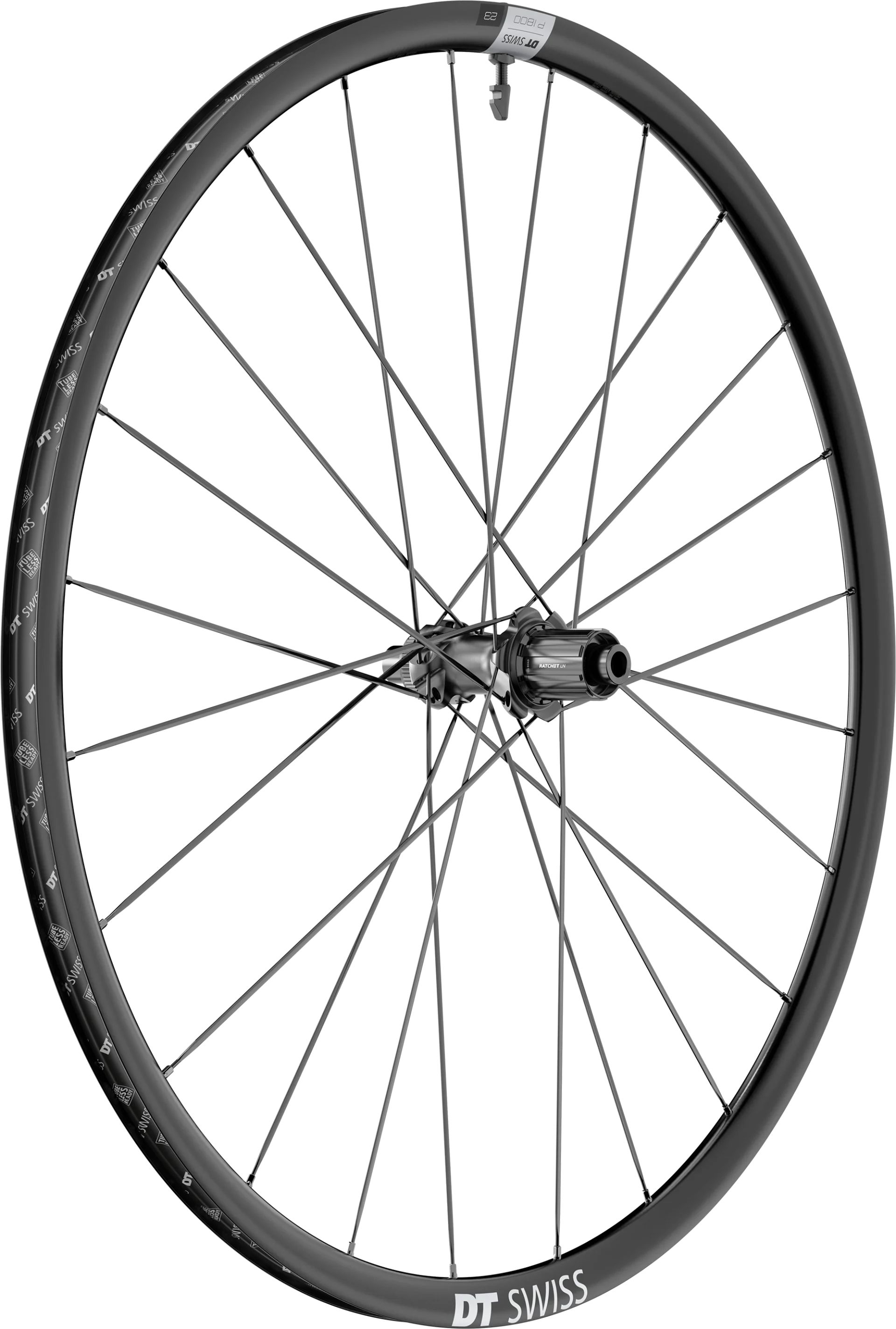 DT Swiss P 1800 Spline DB 23 28